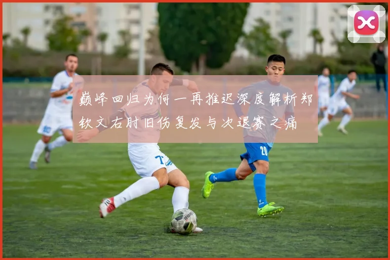 巅峰回归为何一再推迟深度解析郑钦文右肘旧伤复发与次退赛之痛